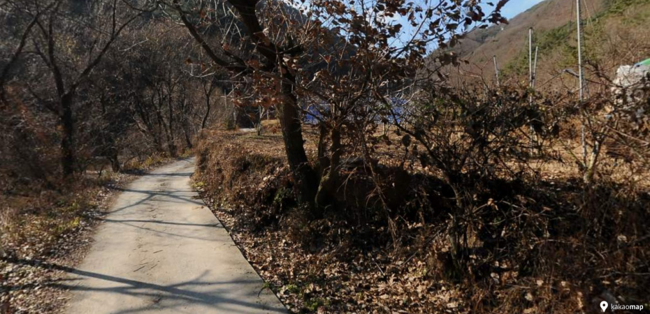 산지 진입로 법개정